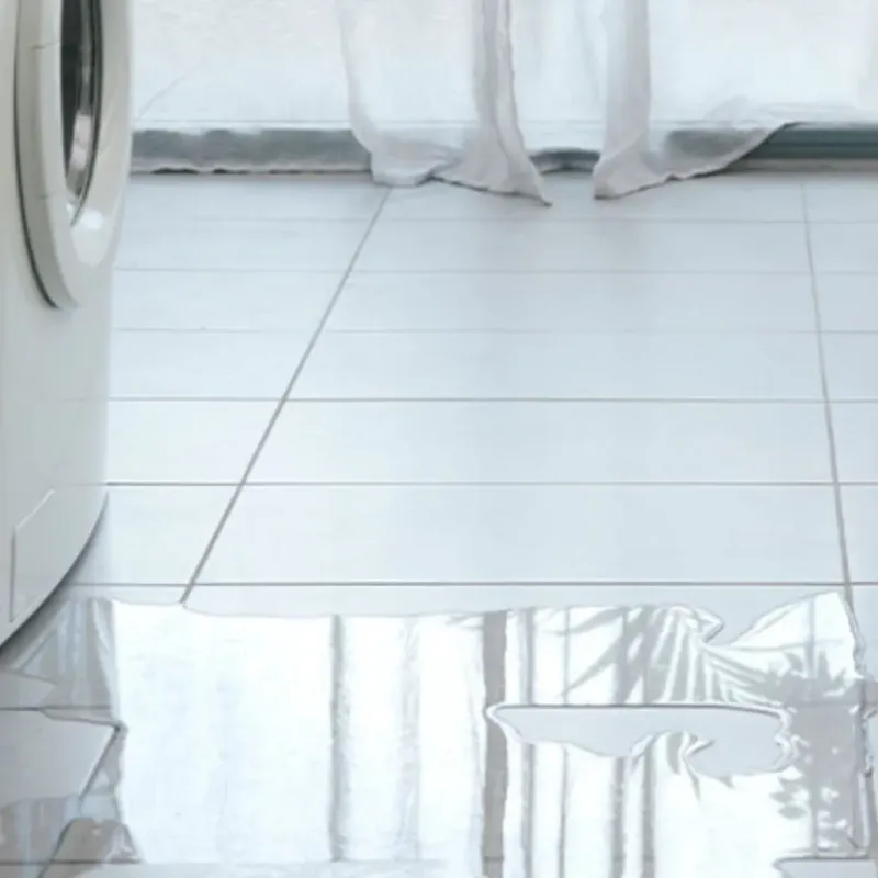 Appliance Leak Cleanup in Hanamaulu, HI